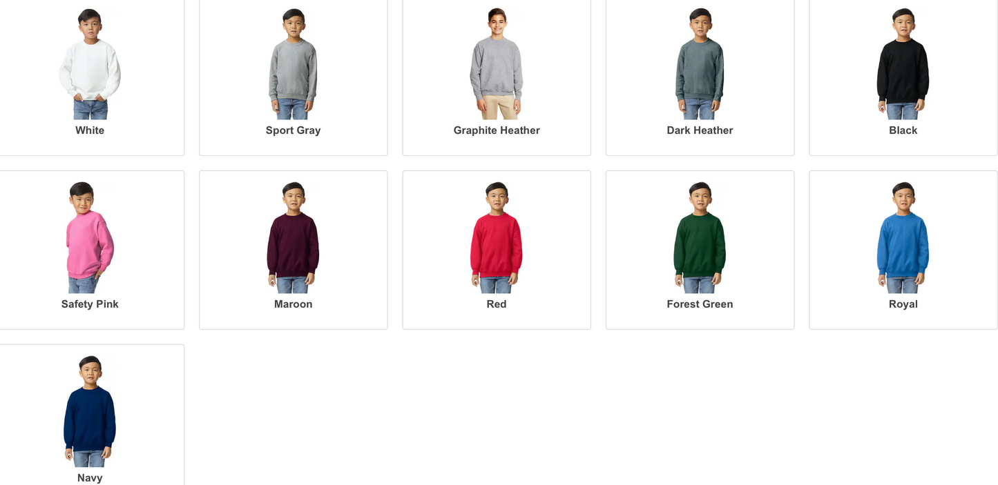 inclusion era sweatshirt | youth