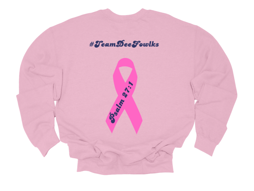 team deefowlks sweatshirt | light pink