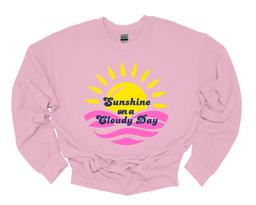 team deefowlks sweatshirt | light pink