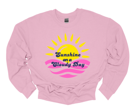 team deefowlks sweatshirt | light pink